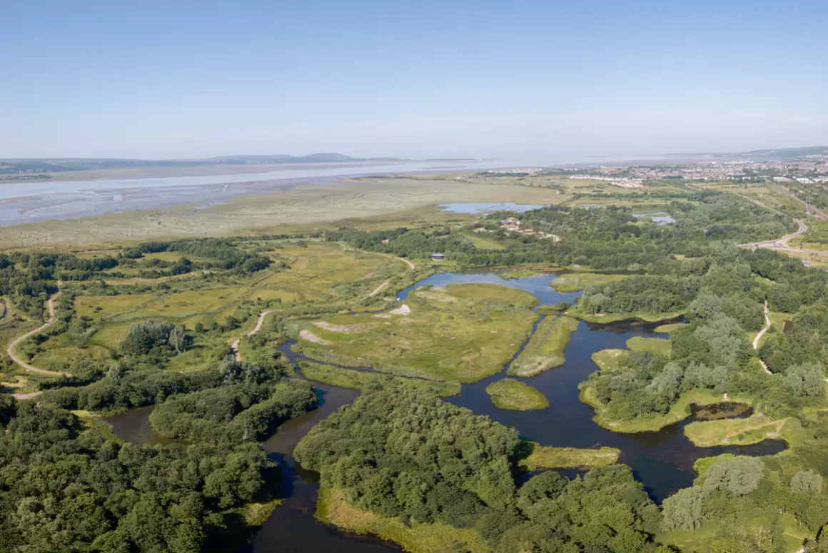 WWT Llanelli Wetland Centre