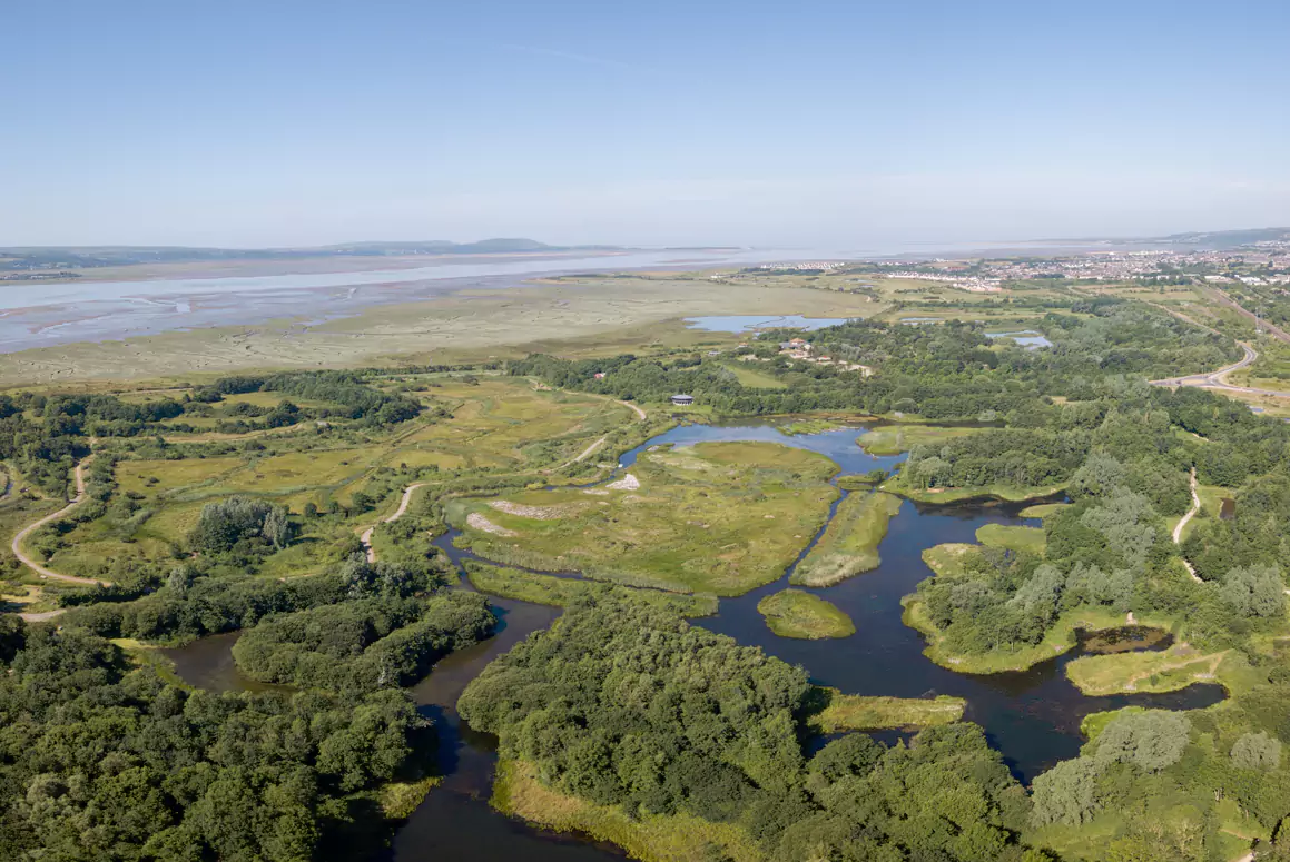 WWT Llanelli Wetland Centre