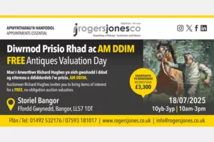 FREE Antiques Valuation Day