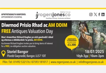FREE Antiques Valuation Day