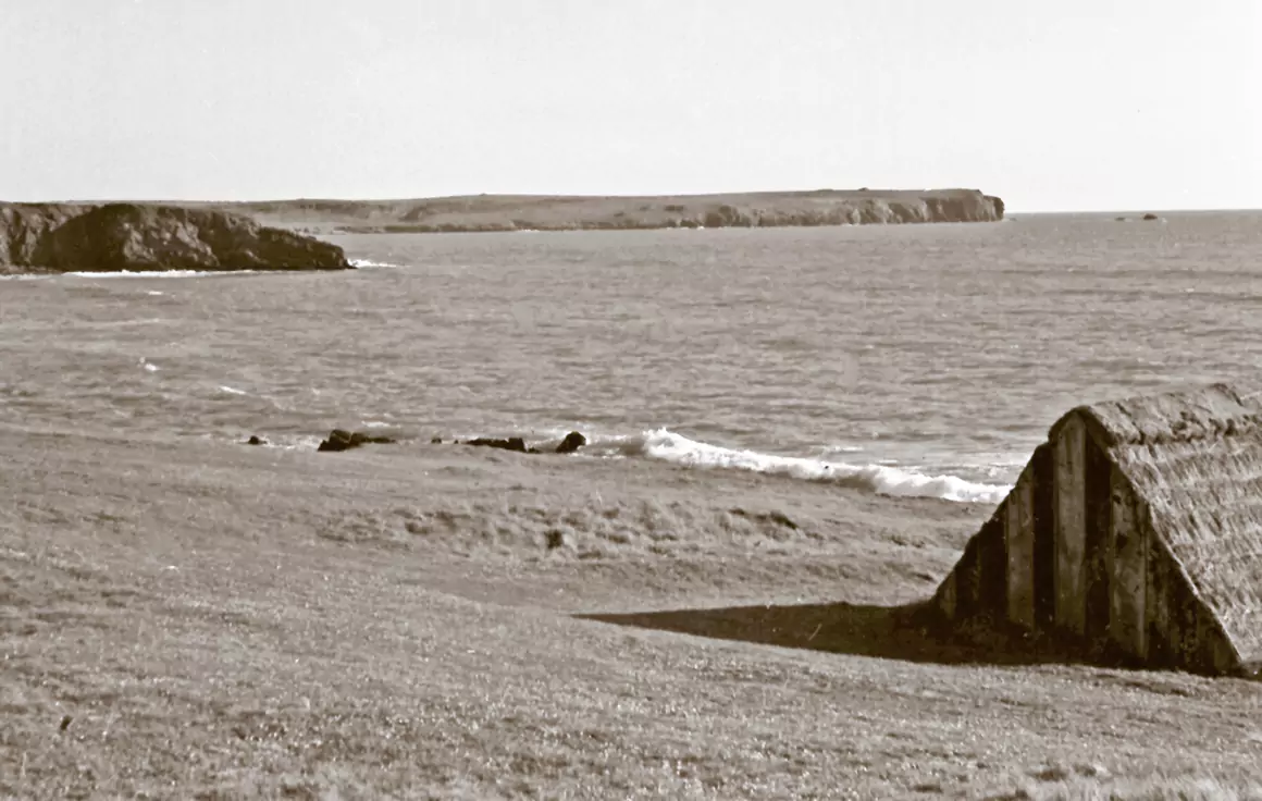 Freshwater West laver-weed hut by Roger MacCallam