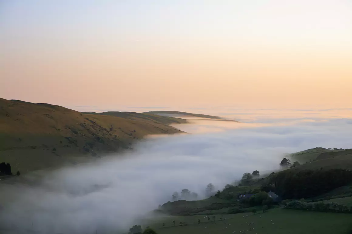 Janet Baxter's Spring Wales Janet Baxter's Spring Wales