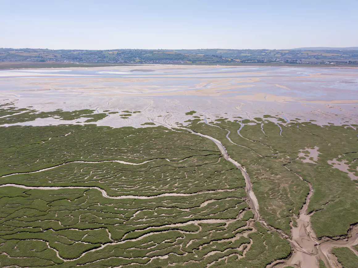 WWT Llanelli Wetland Centre