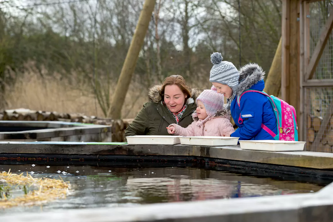 WWT Llanelli Wetland Centre