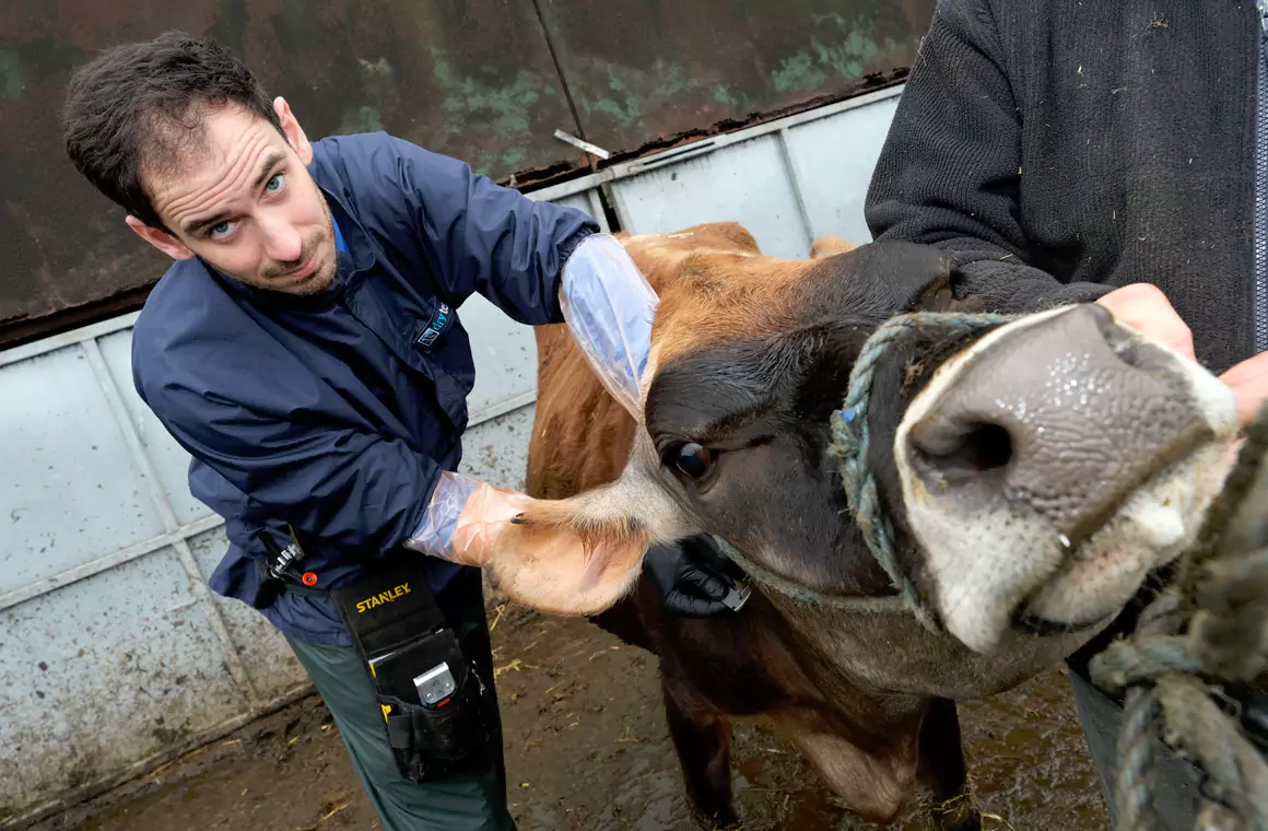 Welsh Veterinary Prescribing Champion Network Goes from Strength to Strength