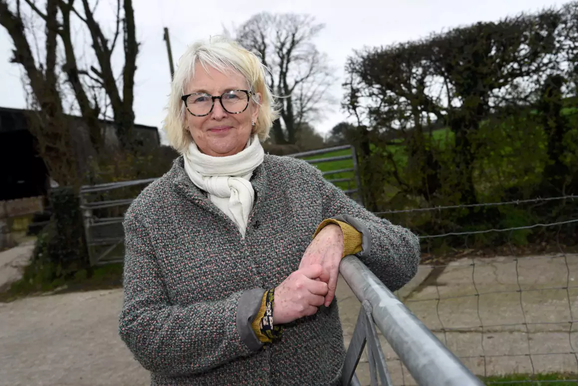 Siân Gwenllian MS