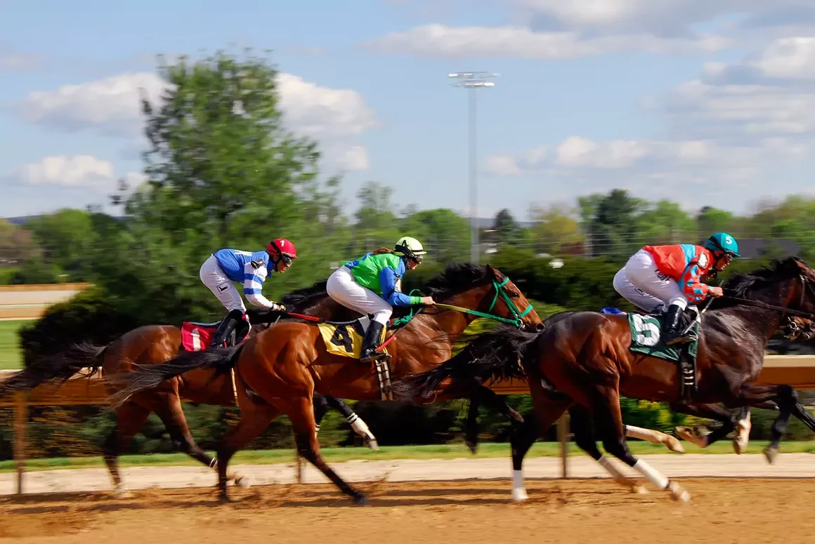 How to Read Betting Odds in Horse Racing: A Beginner’s Guide
