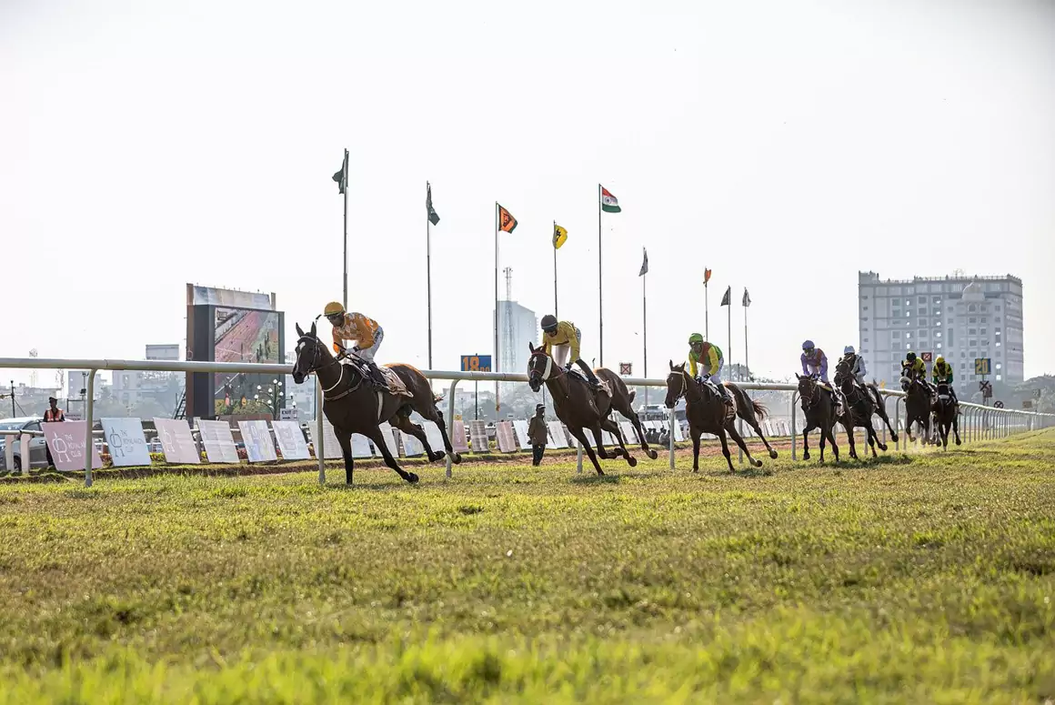 Wales Moves to Ban Greyhound Racing: UK Government Stands Firm on Sporting Tradition