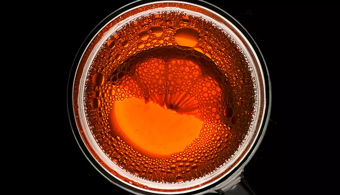 Welsh Grandfather and Daughter Finalists in World's Top Food Photography Awards
