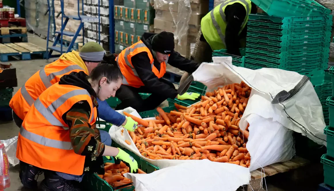 New Strategy to Build a Healthier Food System Across Wales