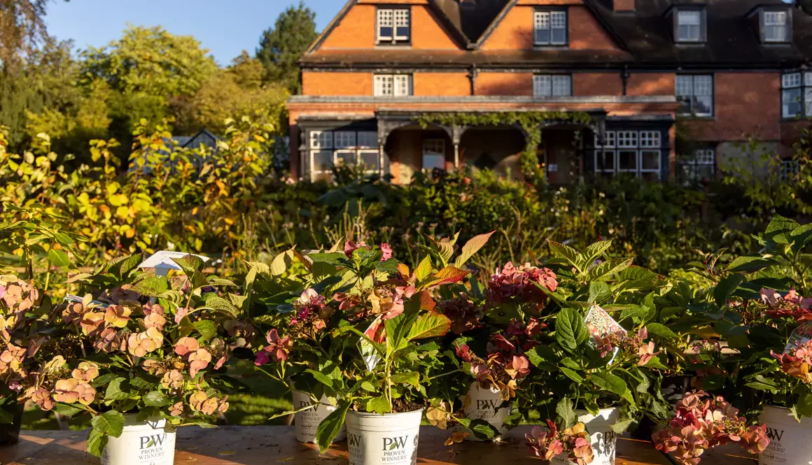 Hergest Croft Gardens Spring Plant Fair Attracts Record Exhibitors!