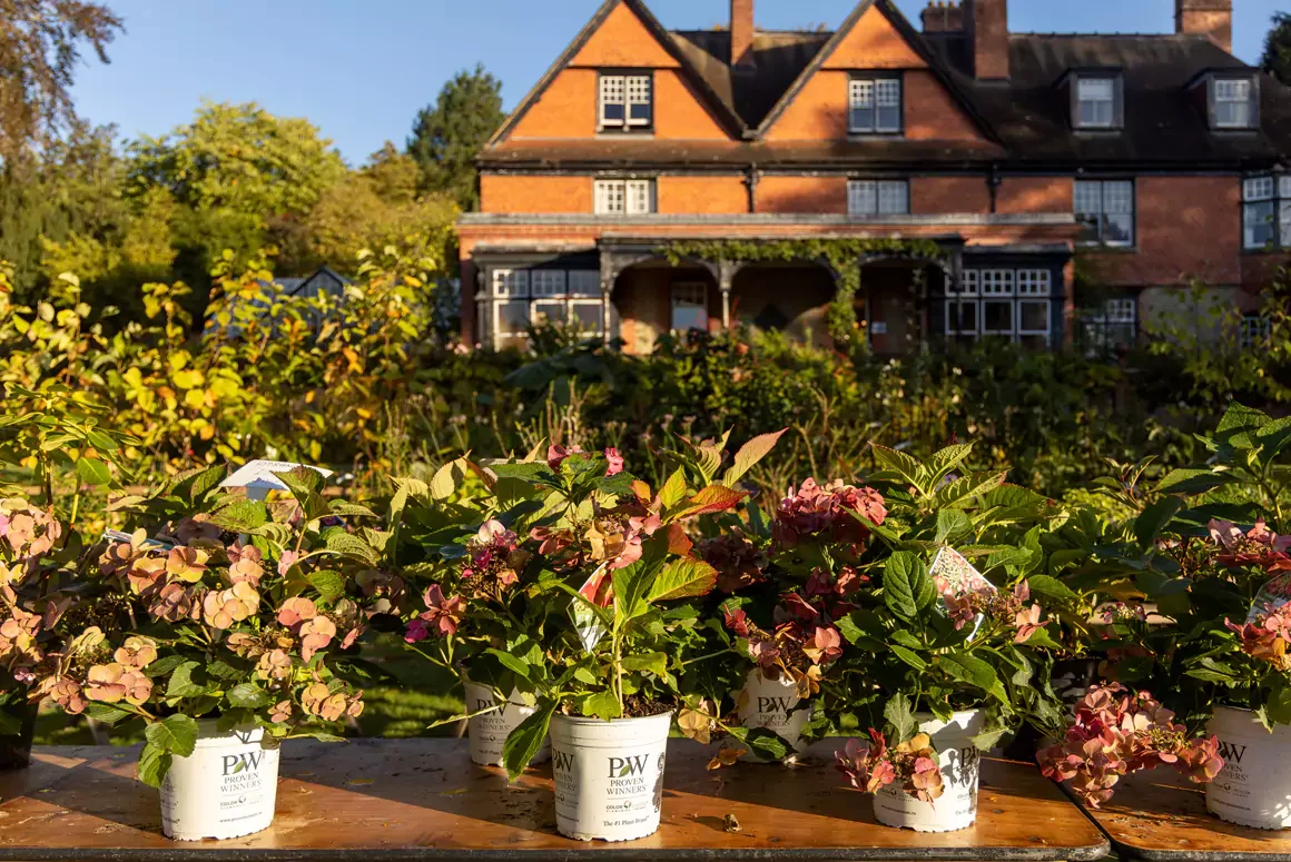 Hergest Croft Gardens Spring Plant Fair Attracts Record Exhibitors! Hergest Croft Gardens Spring Plant Fair Attracts Record Exhibitors!