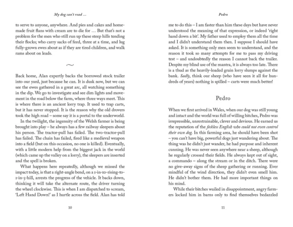 My Dog Can't Read by Diana Ashworth