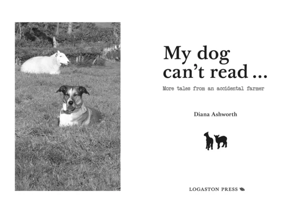 My Dog Can't Read by Diana Ashworth