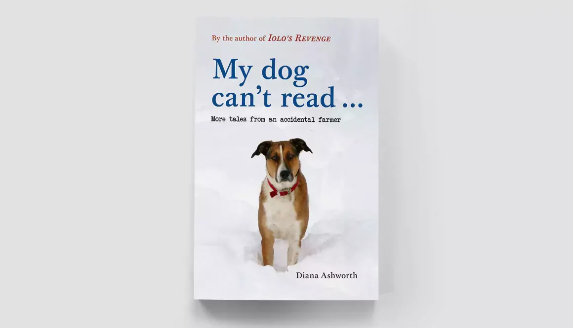 My Dog Can't Read by Diana Ashworth