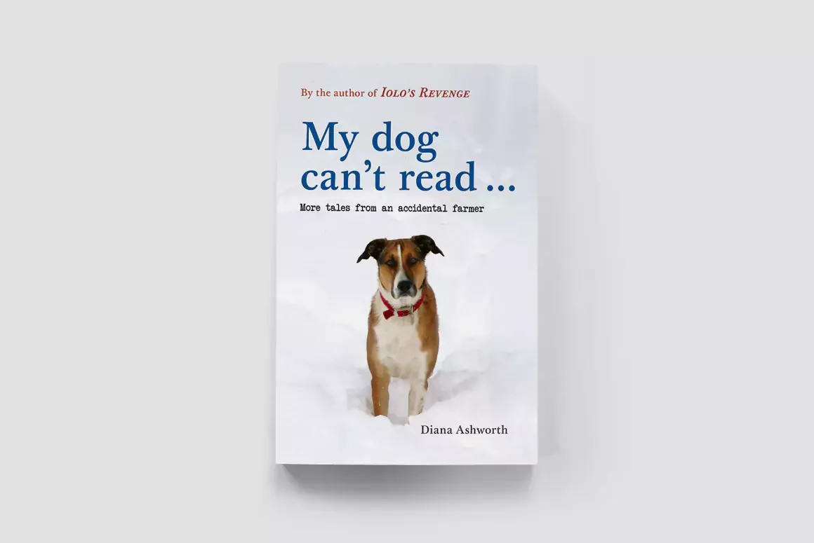 My Dog Can’t Read…