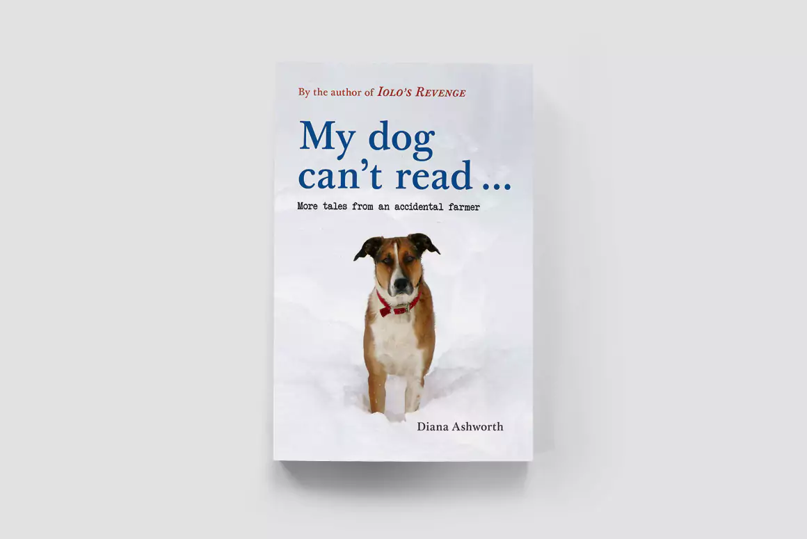 My Dog Can't Read by Diana Ashworth