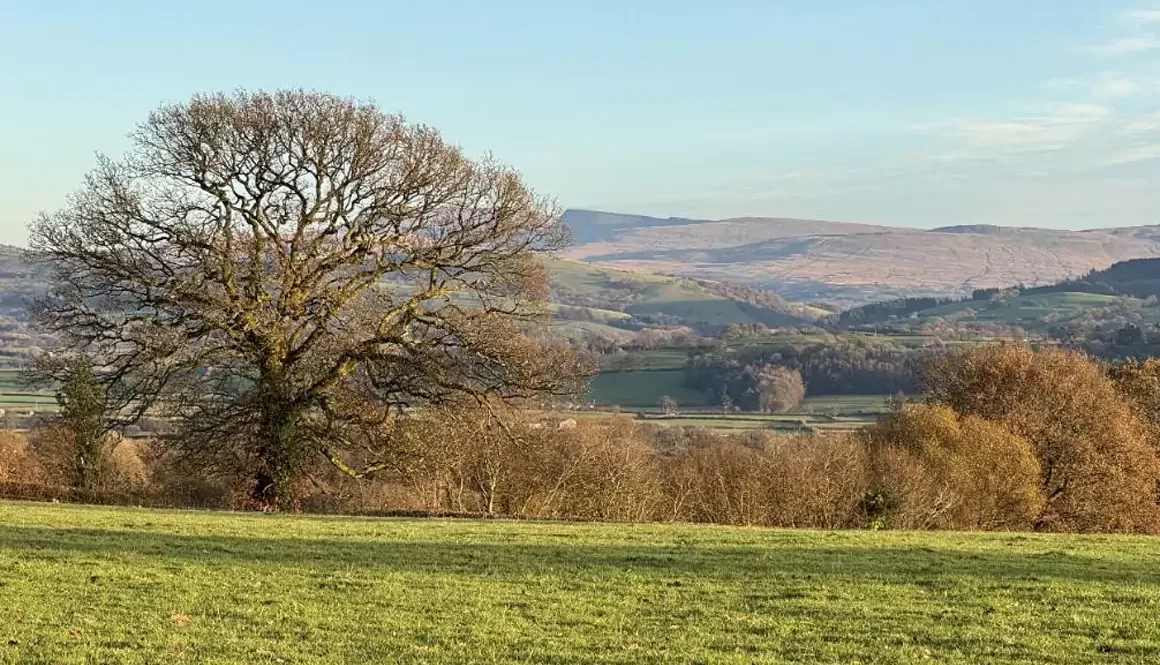 Pylons Through the Cradle of Welsh Civilisation: A Taliban-Like Attack on Our History, Culture and Commerce?