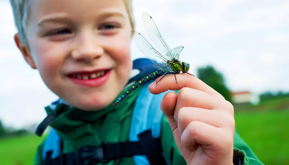 First-ever WWT Dragonfly Festival Coming to WWT Llanelli