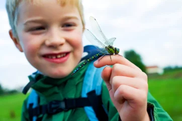 First-ever WWT Dragonfly Festival Coming to WWT Llanelli