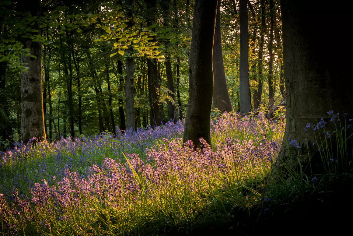 Mathew Browne Photography - The Magic That is Wales The Magic of Wales - Mathew Browne