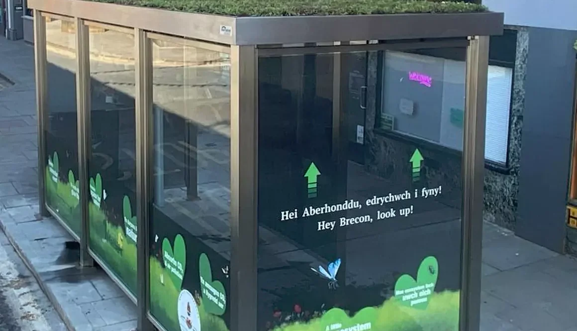 Green Roof Bus Shelters Take Root Across Powys