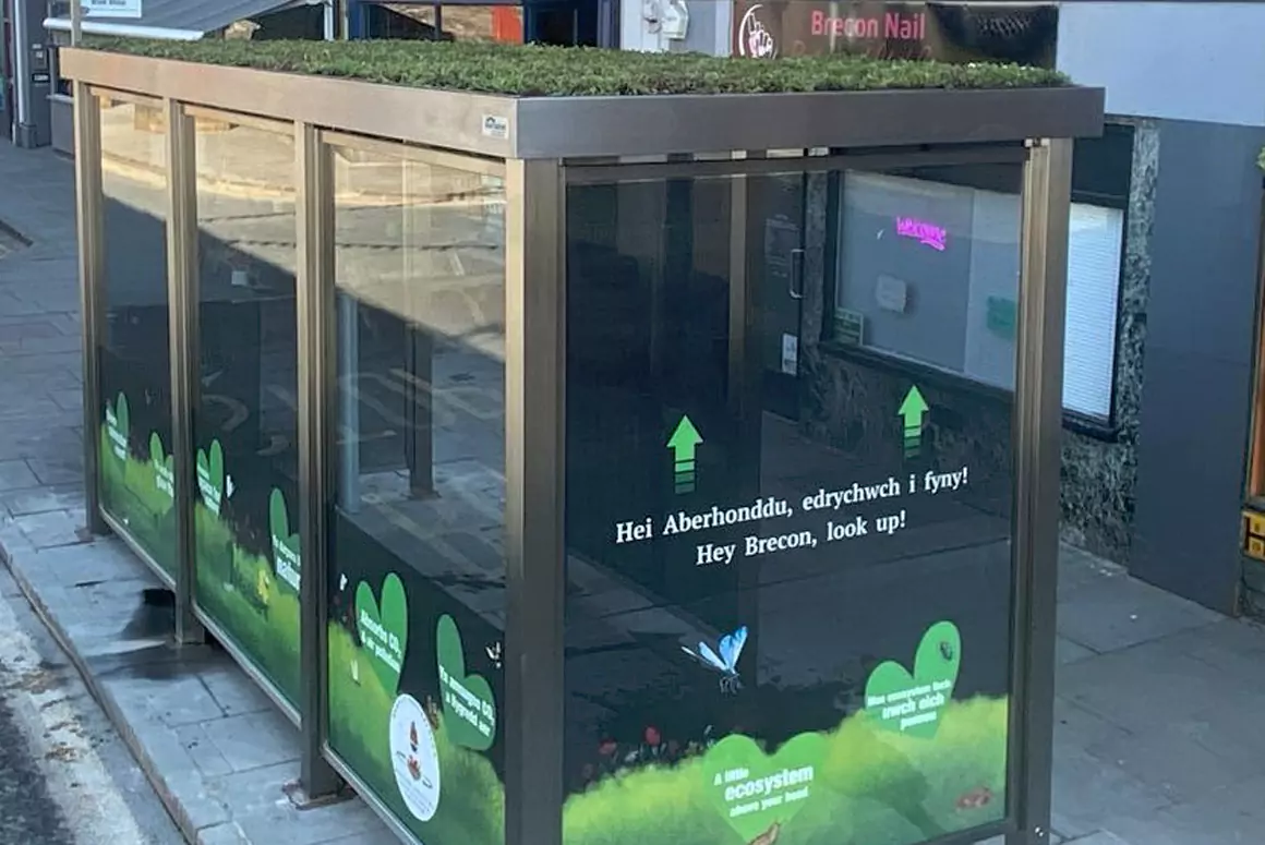 Green Roof Bus Shelters Take Root Across Powys