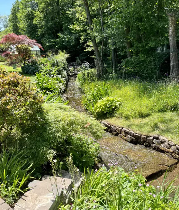 Maes y Draenog