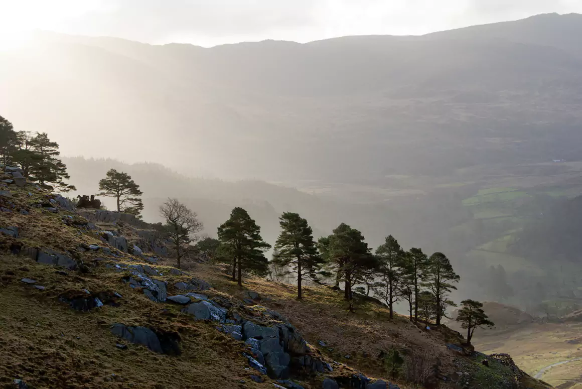 Walking in Wales: Yr Aran Walking in Wales: Yr Aran