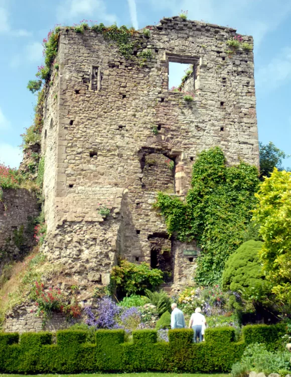 Usk Open Gardens