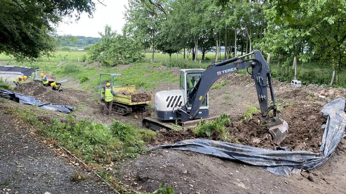 Crickheath South Work Party Report – June 6-8, 2025