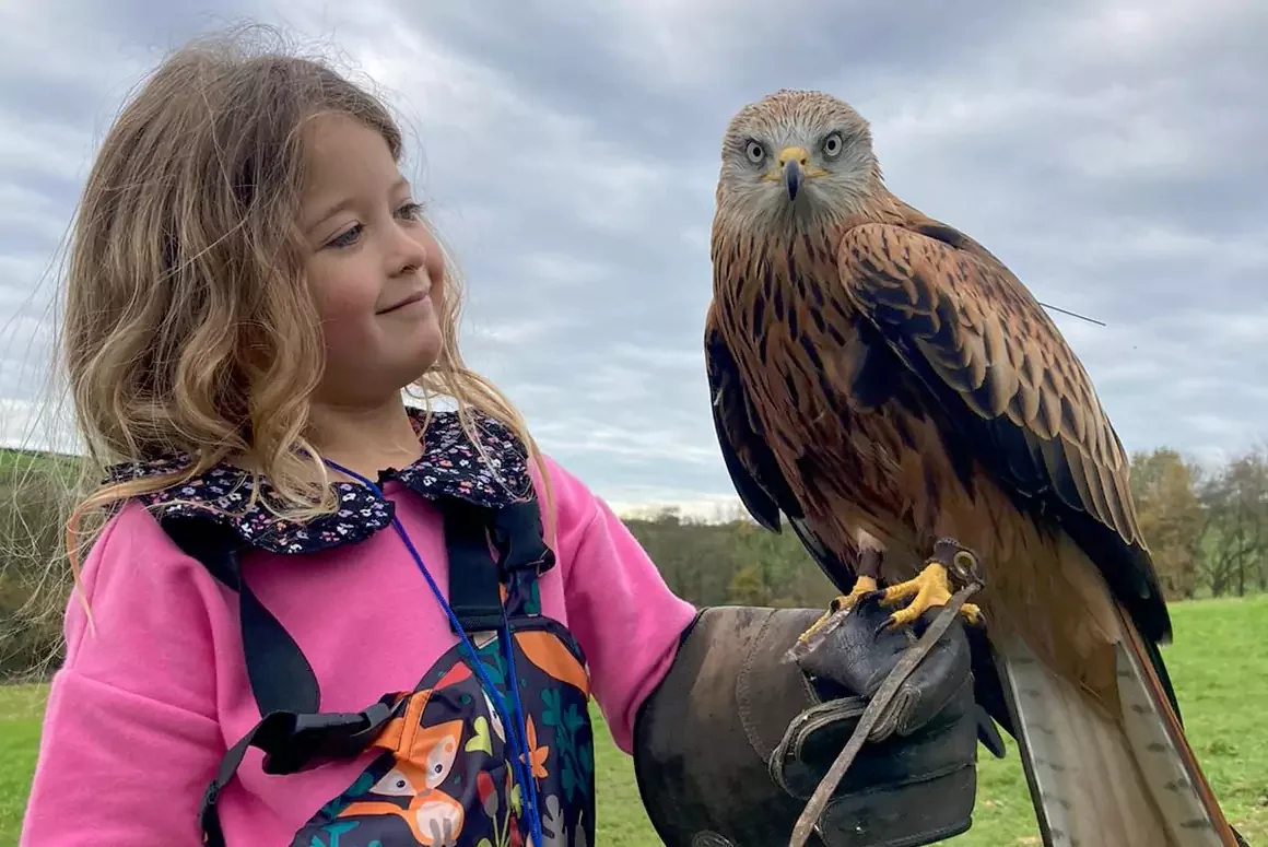 The British Bird of Prey Centre Has a New Nest in Idole