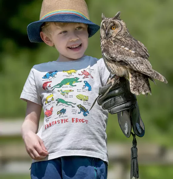 The British Bird of Prey Centre Has a New Nest in Idole