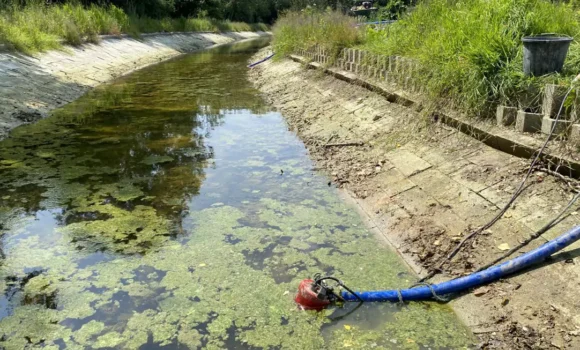 Crickheath South Work Party Report – June 6-8, 2025