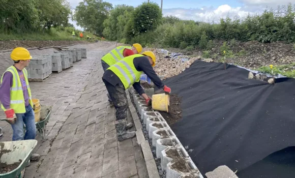 Crickheath South Work Party Report – June 6-8, 2025