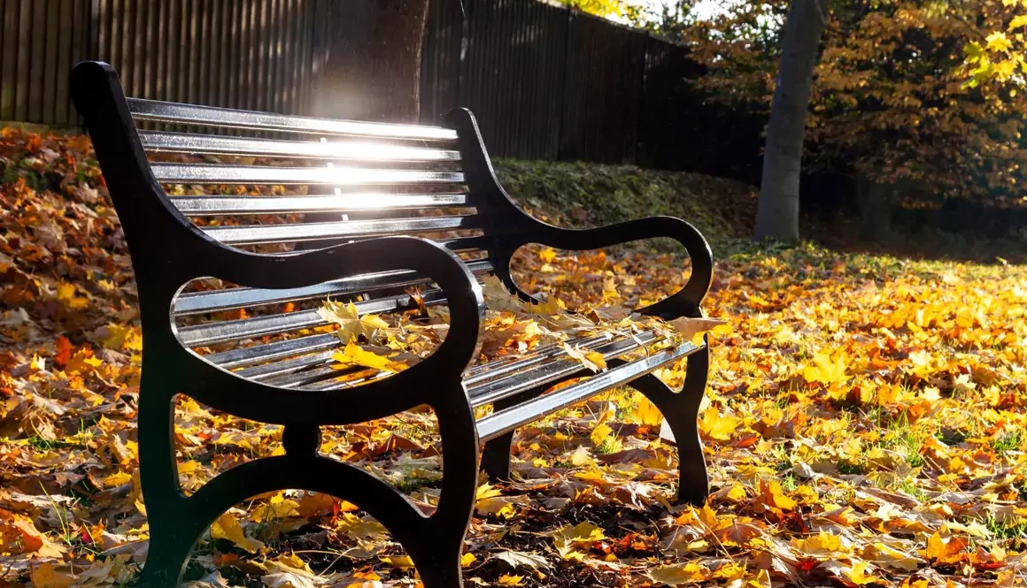 New Bereavement Support Service Launches for Over 70s in Dyfed and Powys