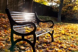 New Bereavement Support Service Launches for Over 70s in Dyfed and Powys