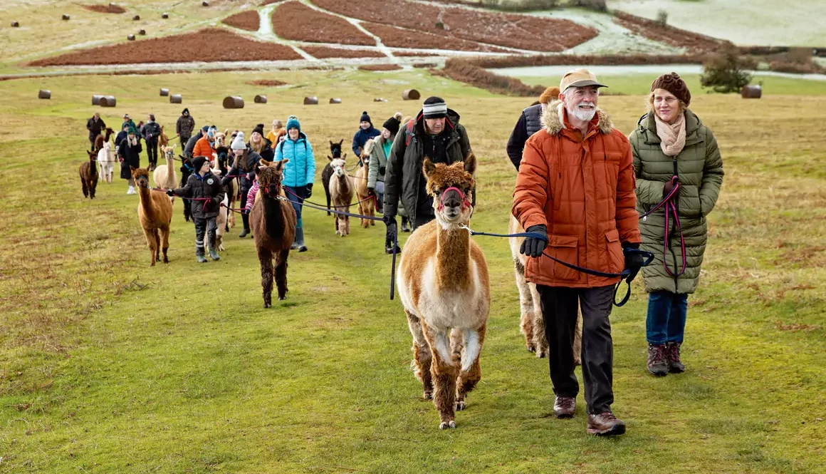 Unique Experiences Waiting to be Discovered in Mid Wales