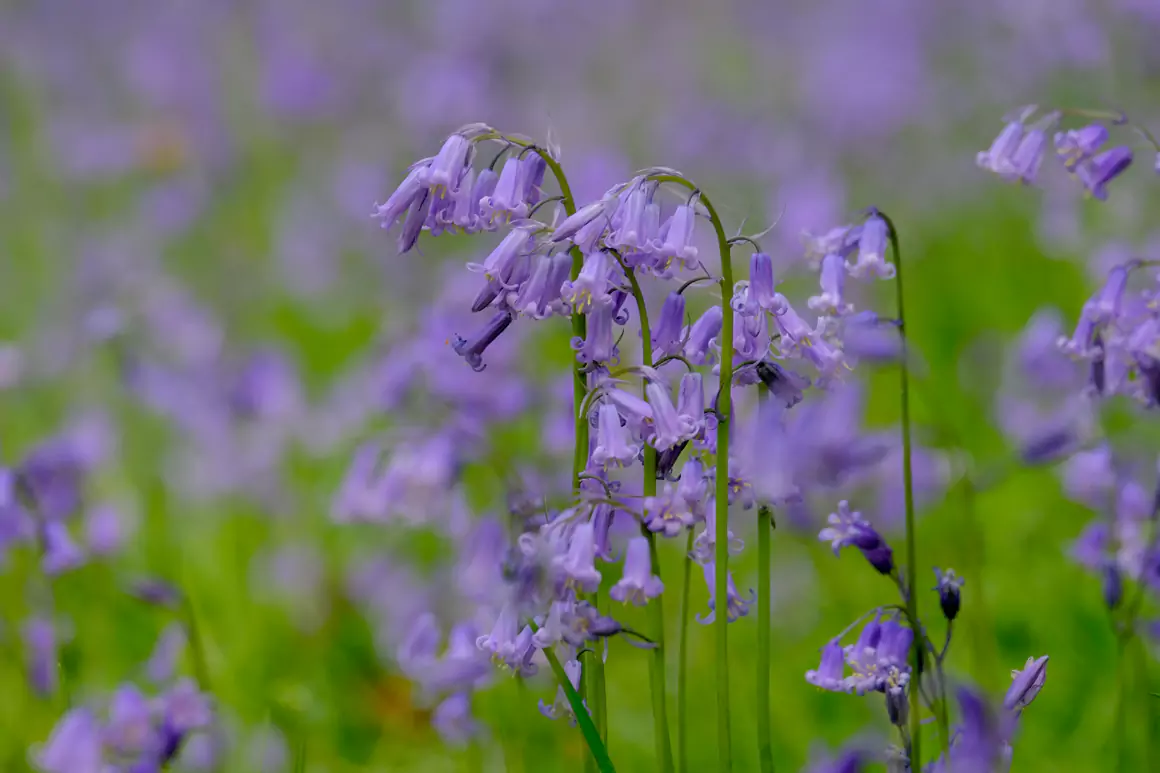 Andy Compton Photography