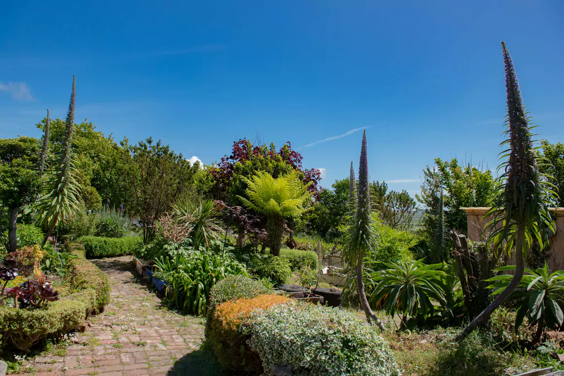 Corseside Nursery Gardens
