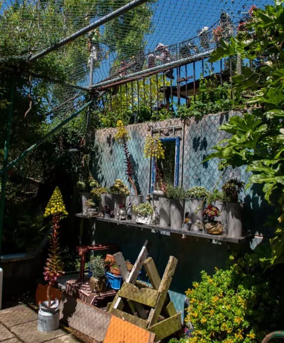 Corseside Nursery Gardens