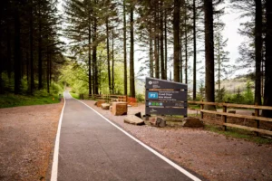 CwmcarnForestDrive-60
