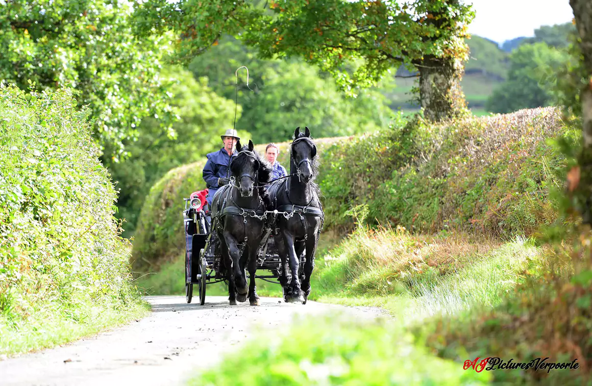 Unique Experiences Waiting to be Discovered in Mid Wales