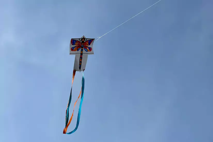 Dragonfly Kite Making Workshops at Dragonfly Festival