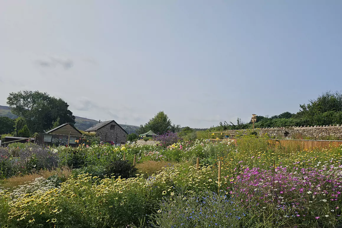 Neuadd Stone Barn