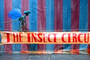 Insect Circus Puppet Show at Dragonfly Festival