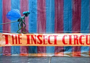 Insect Circus Puppet Show at Dragonfly Festival