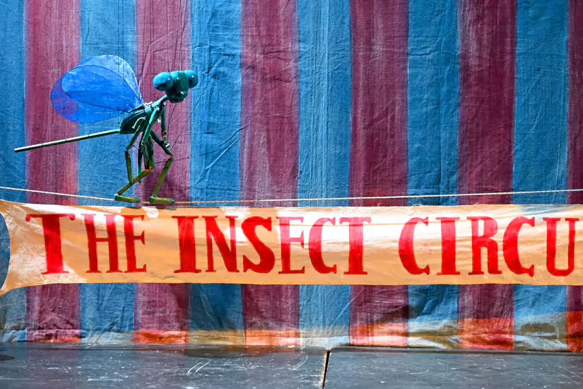 Insect Circus Puppet Show at Dragonfly Festival