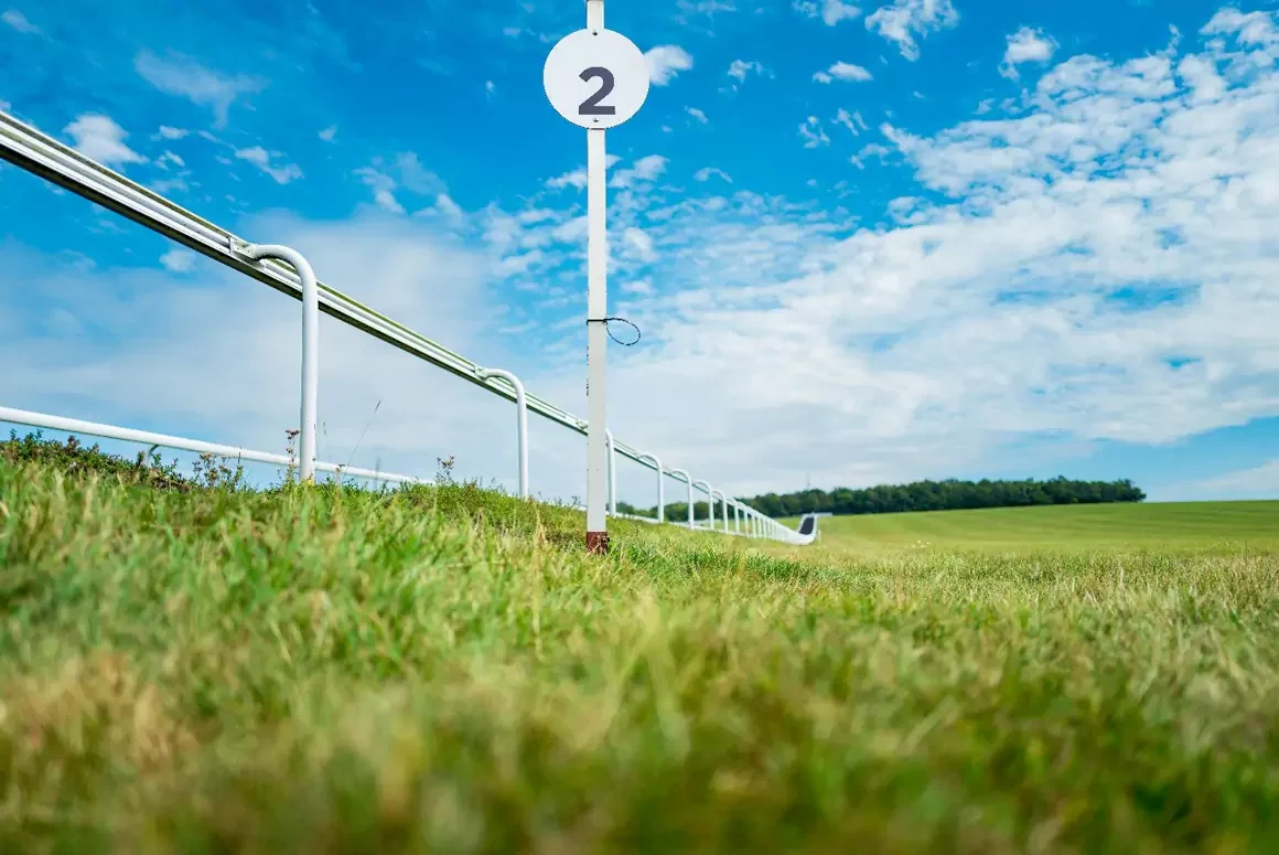 The Standout Juveniles of the 2025 Flat Racing Season Thus Far
