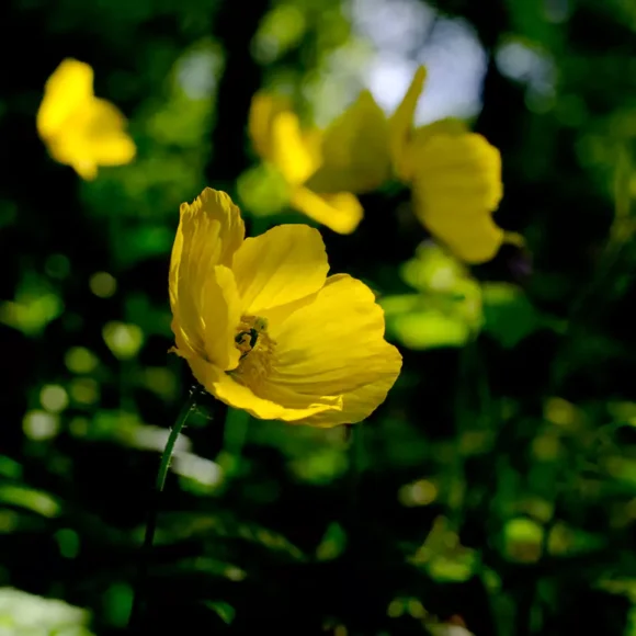 Andy Compton Photography